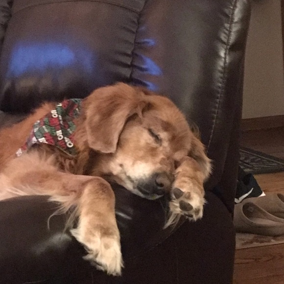 Meet your Posher, David - Picture 2 of 5